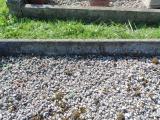 image of grave number 583401
